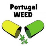 Portugalweed.com o melhor haxixe e maconha ao seu alcance em casa em
