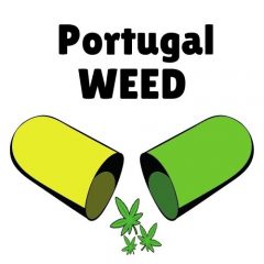 Portugalweed.com o melhor haxixe e maconha ao seu alcance em casa em