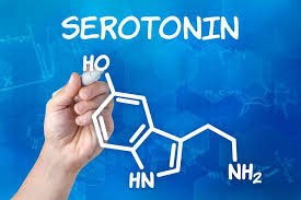 Maconha e serotonina O que é serotonina?