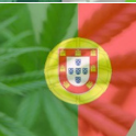 Portugalweed.com Buy weed in Portugal THC 0034619010289 whatsapp TELEGRAM @madridcmm – Maconha Lisboa, Maconha Cascais, Buy Weed Portugal